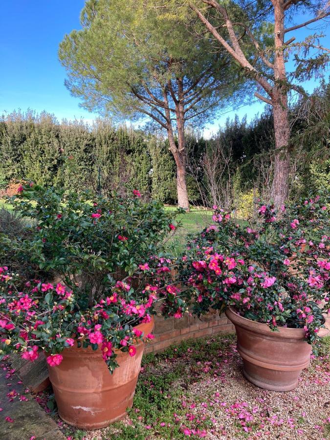 B&B Villa Fioreconero Montacuto Extérieur photo